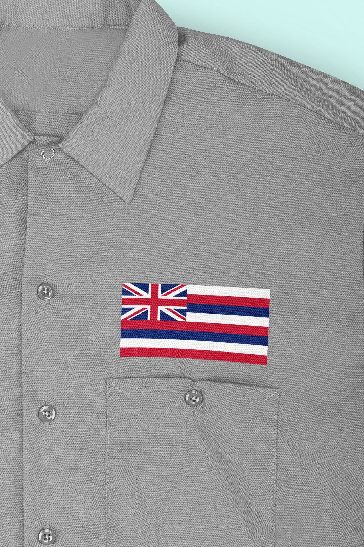 State of Hawaii Flag Iron On Heat Transfer Vinyl HTV Hawaii State  Honolulu  The Aloha State Paradise of the Pacific Pineapple State Rainbow