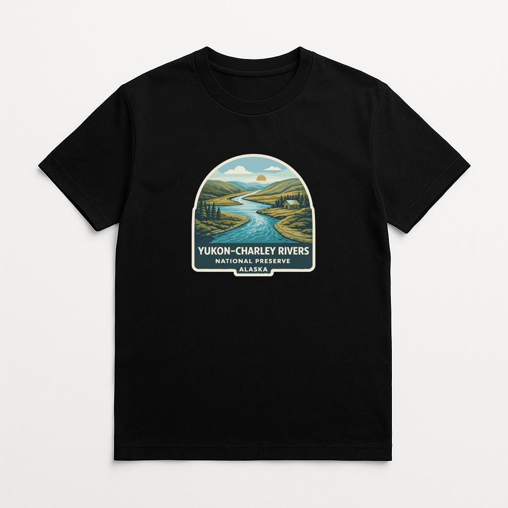 A black t-shirt with a graphic design depicting a scenic landscape with a river and mountains.
