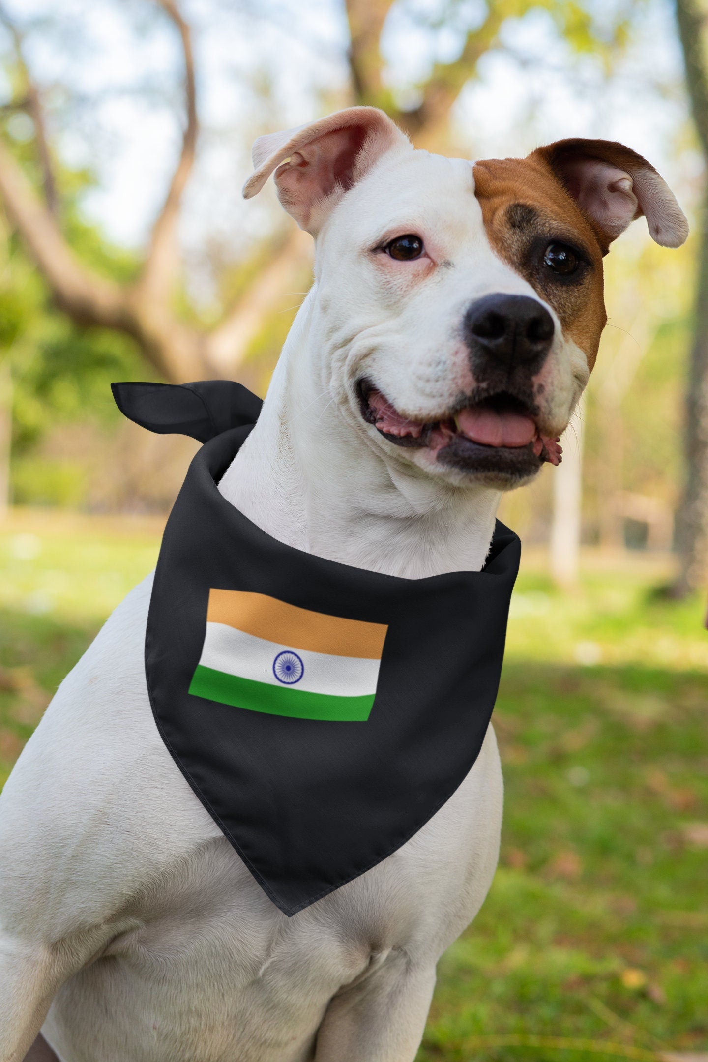 India Flag Iron On Heat Transfer Vinyl HTV / Republic of India / Satyameva Jayate / New Delhi