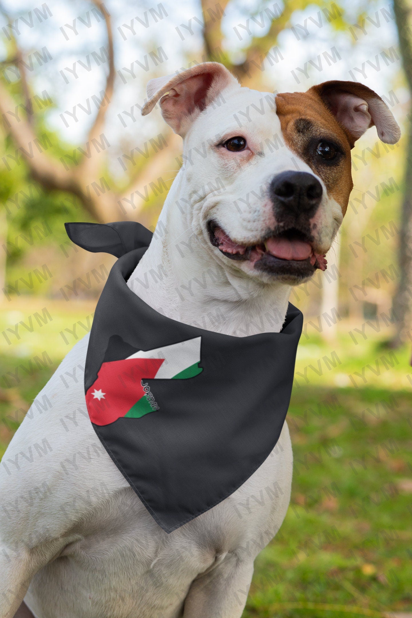 Jordan Map Iron On Heat Transfer Vinyl HTV / Hashemite Kingdom of Jordan / الله، الوطن، الملك / Amman /