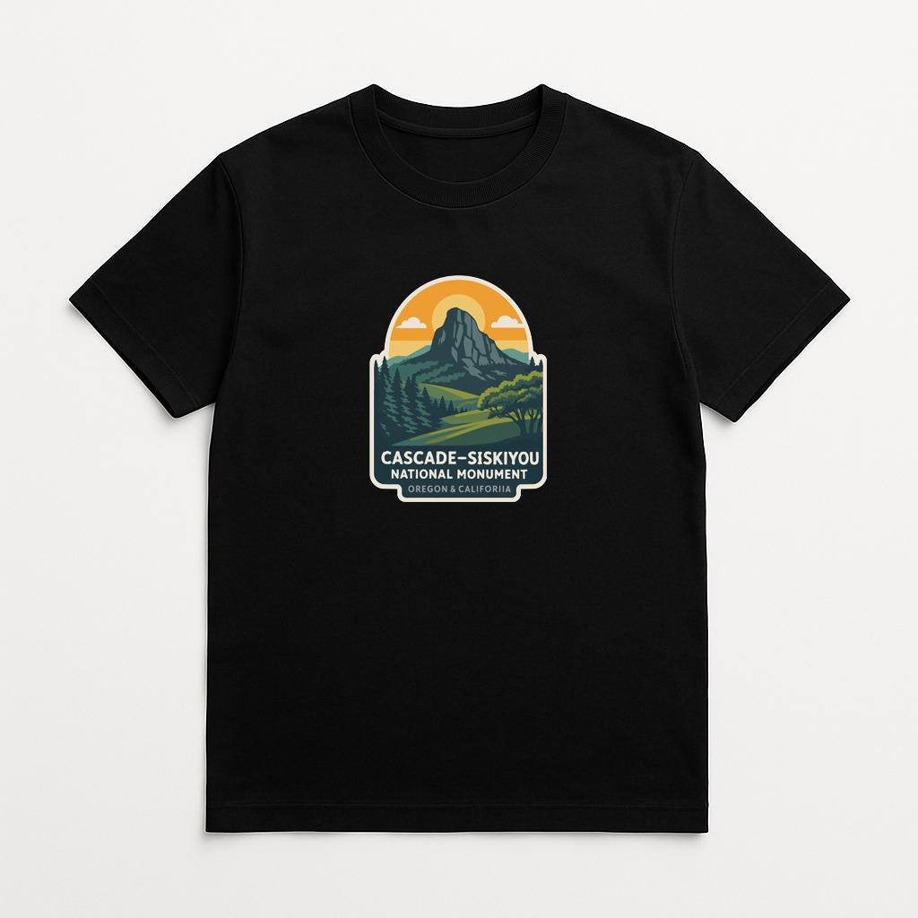A black t-shirt with a graphic design depicting a mountain landscape with a sun rising over the horizon.