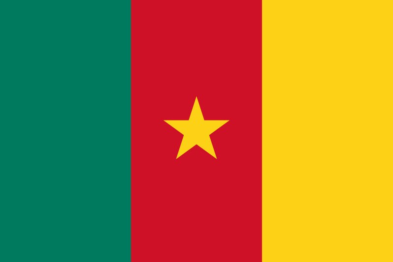 Cameroon Flag Iron On Heat Transfer Vinyl HTV / Republic of Cameroon / Yaoundé / Paix – Travail – Patrie / Cameroonian