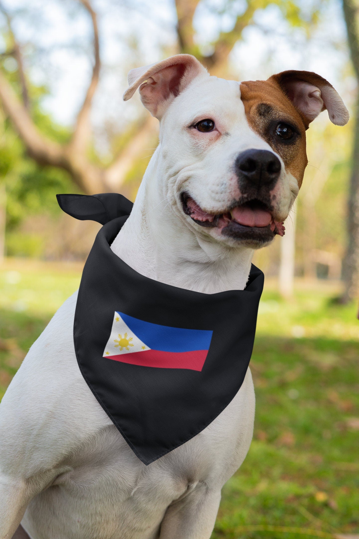 Philippines Flag Iron On Heat Transfer Vinyl HTV / Republic of the Philippines / Republika ng Pilipinas / Manila / Filipino