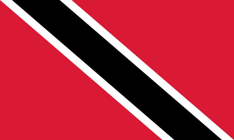 Trinidad and Tobago Flag Iron On Heat Transfer Vinyl HTV / Together We Aspire, Together We Achieve / Port of Spain / Trinbagonian / Trini