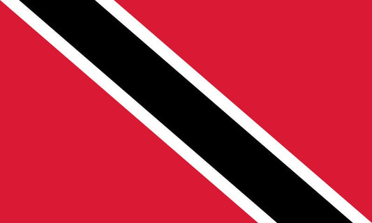 Trinidad and Tobago Flag Iron On Heat Transfer Vinyl HTV / Together We Aspire, Together We Achieve / Port of Spain / Trinbagonian / Trini
