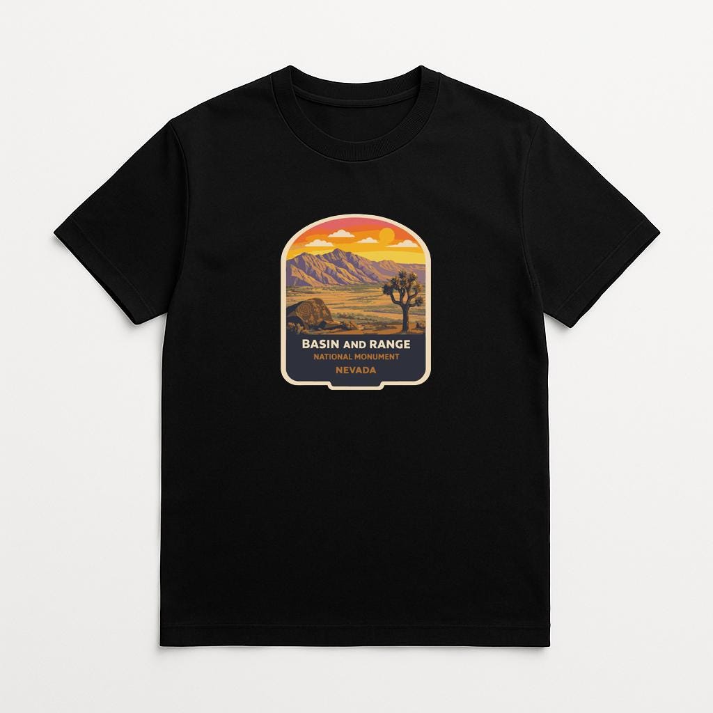 A black t-shirt with a graphic design depicting a desert landscape with mountains, palm trees, and a sunset.