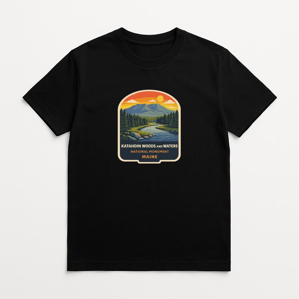 A black t-shirt with a graphic design depicting a scenic landscape with mountains, a river, and a sunset.
