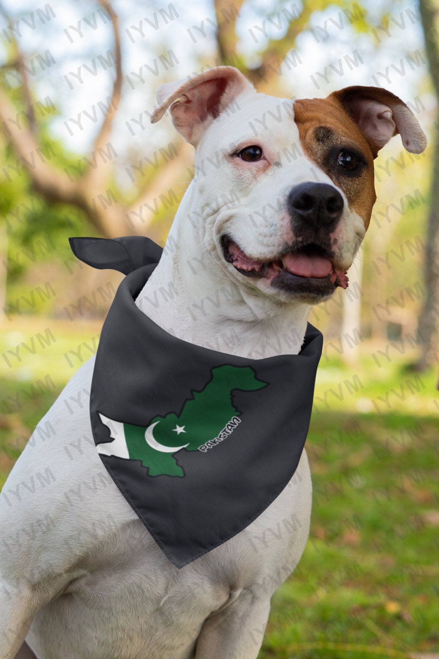 Pakistan Map Iron On Heat Transfer Vinyl HTV / Islamic Republic of Pakistan / Islamabad / Pakistani