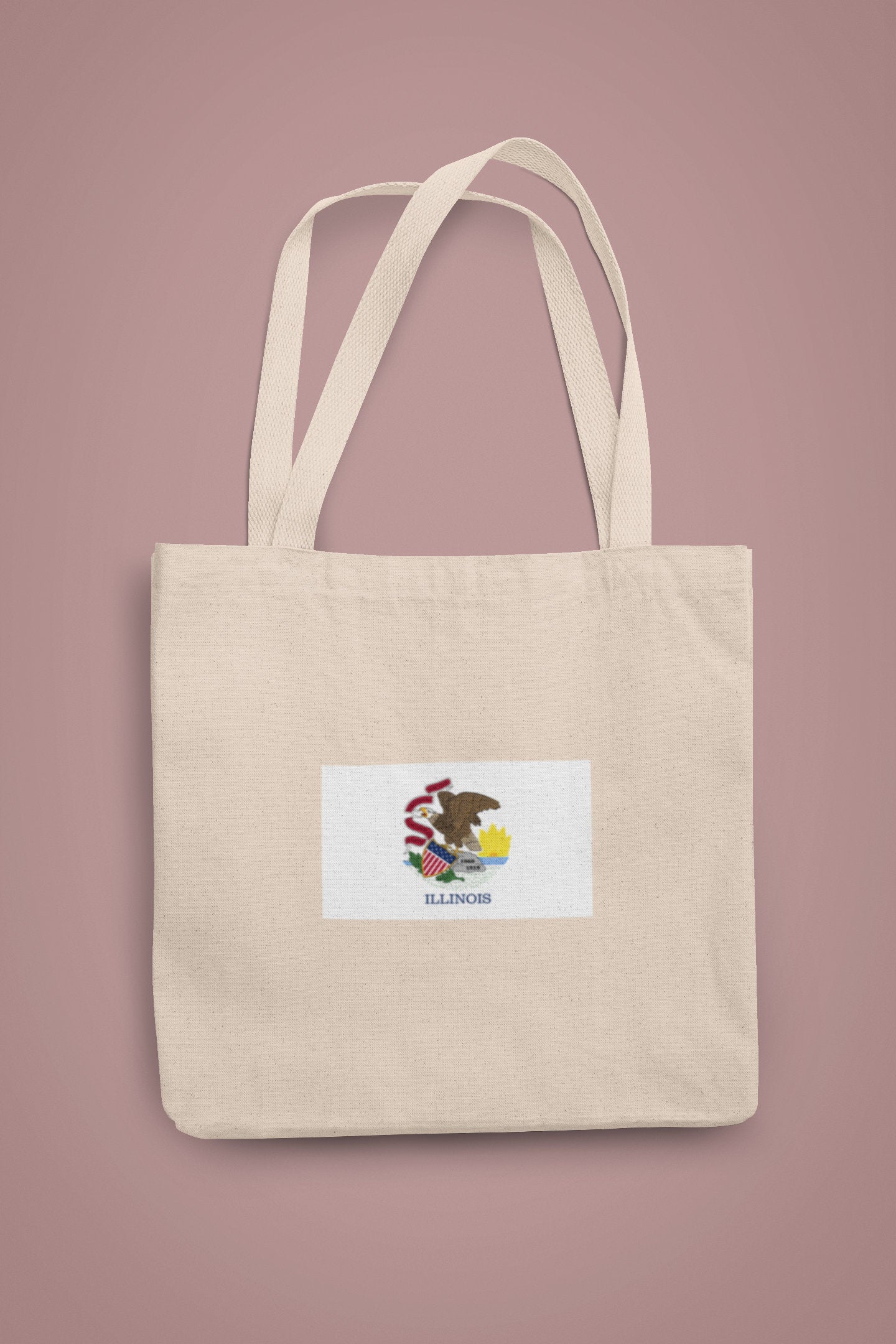 State of Illinois Flag Iron On Heat Transfer Vinyl HTV Illinois State Springfield Prairie State Land of Lincoln Corn State Garden of West