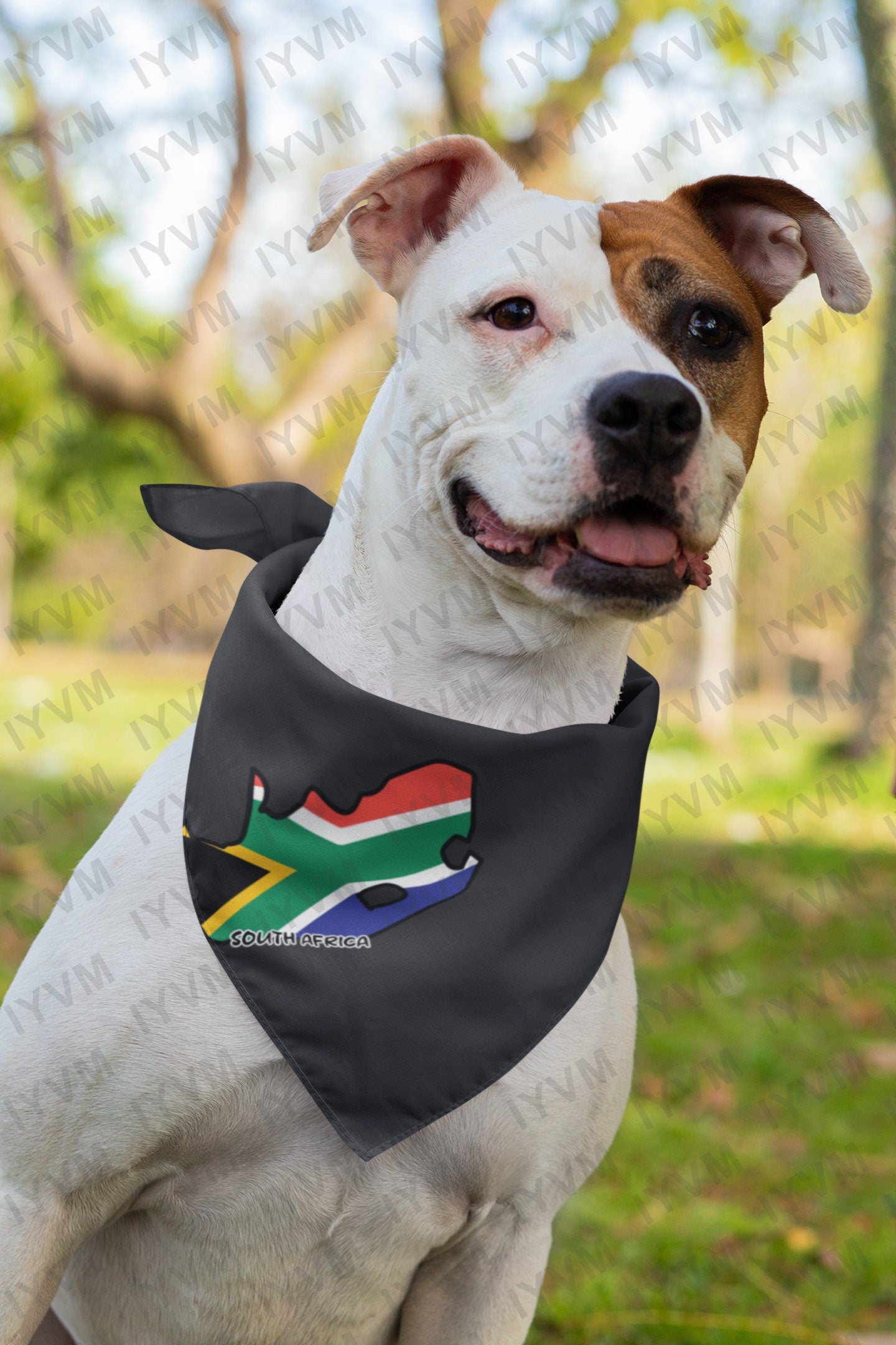 South Africa Map Iron On Heat Transfer Vinyl HTV / Republic of South Africa / RSA / Pretoria / Cape Town / Bloemfontein / Johannesburg