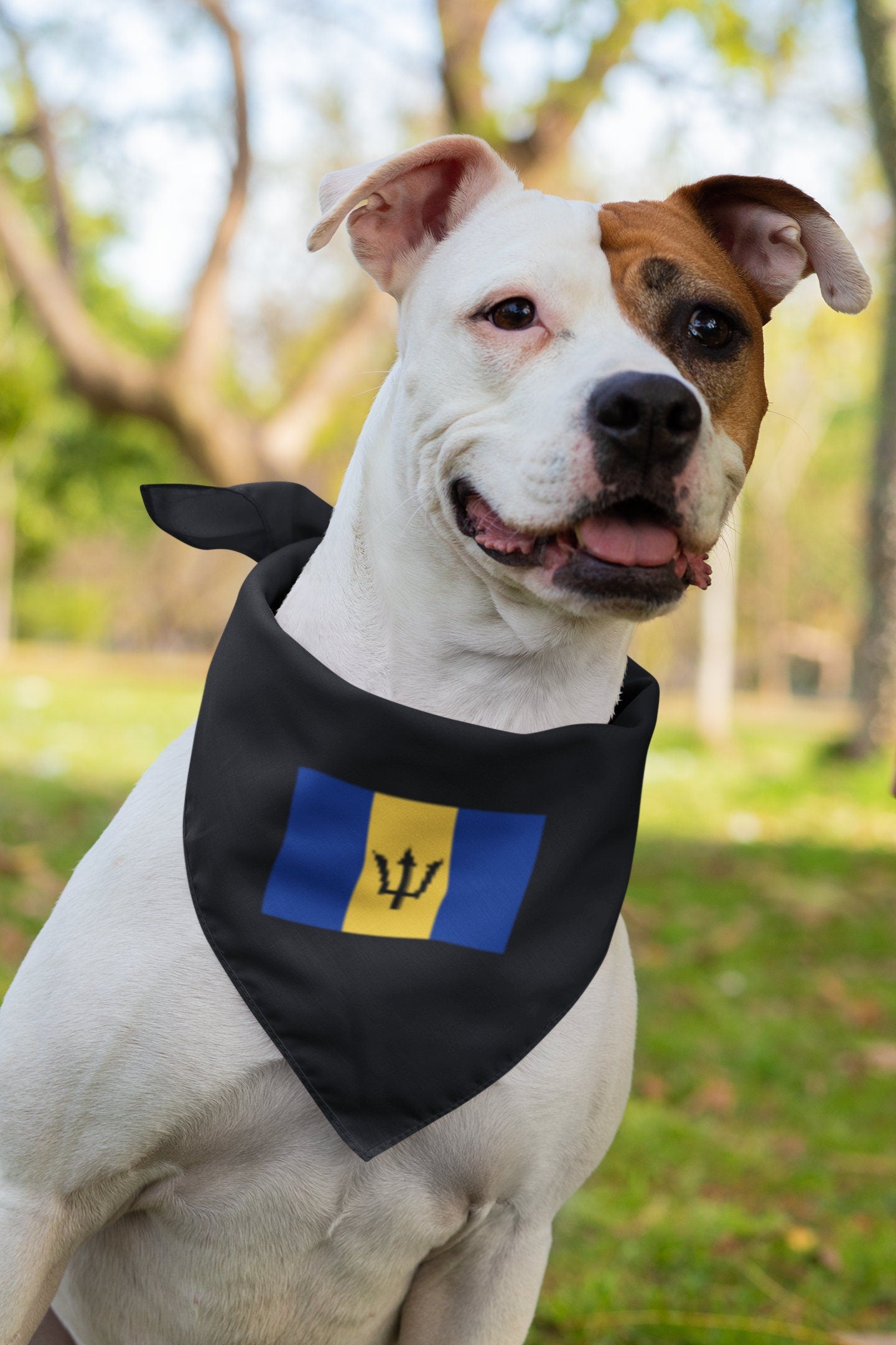 Barbados Flag Iron On Heat Transfer Vinyl HTV / Bridgetown  / Pride and Industry / Barbadian Bajan