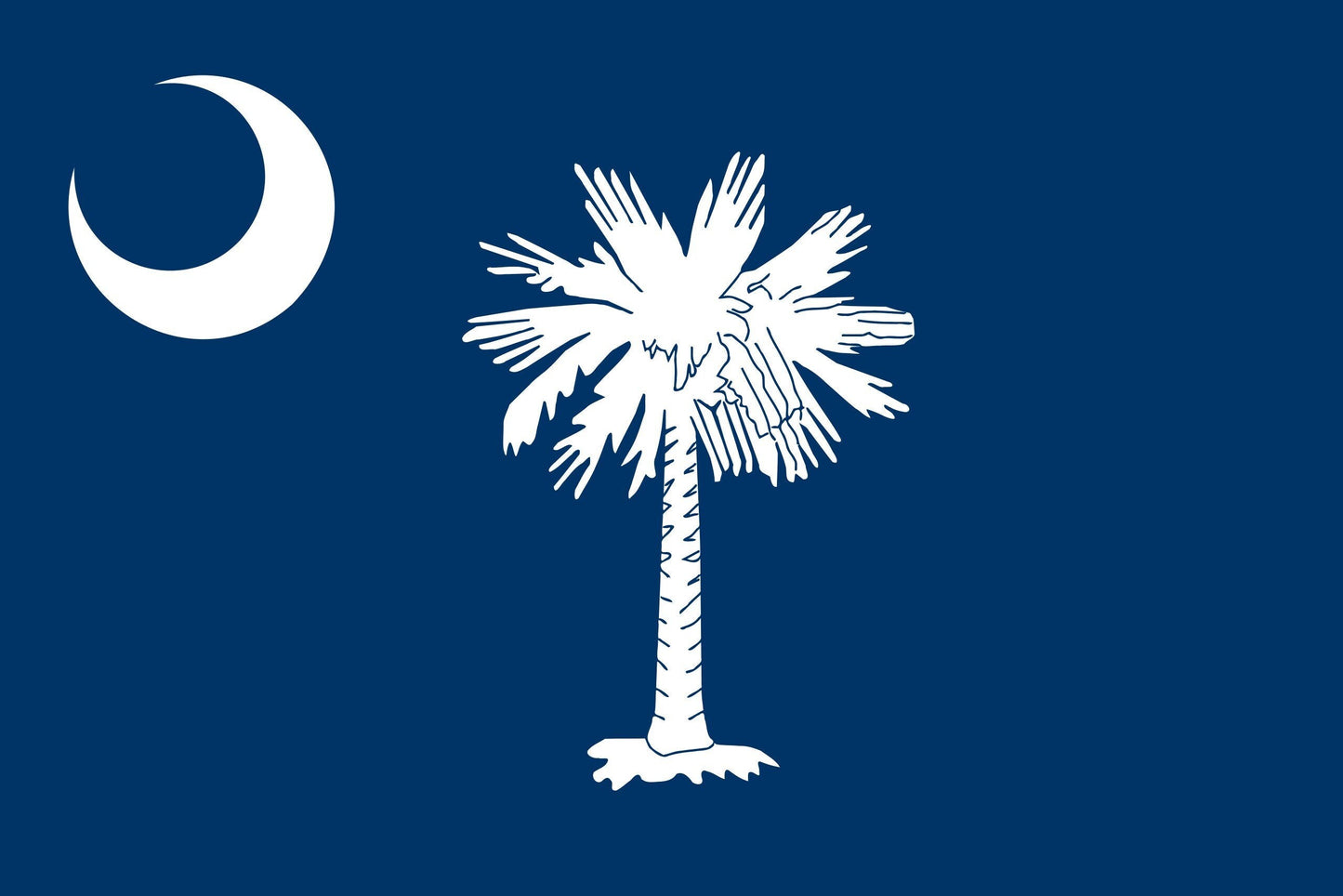 State of South Carolina Flag Iron On Heat Transfer Vinyl HTV  South Carolina State  Columbia  The Palmetto State  Iodine Products State