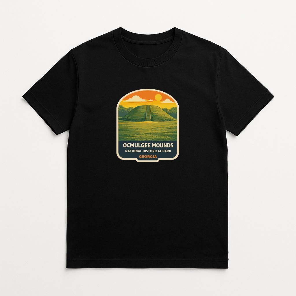A black t-shirt with a graphic design depicting a scenic landscape with mountains, a road, and a sunset.