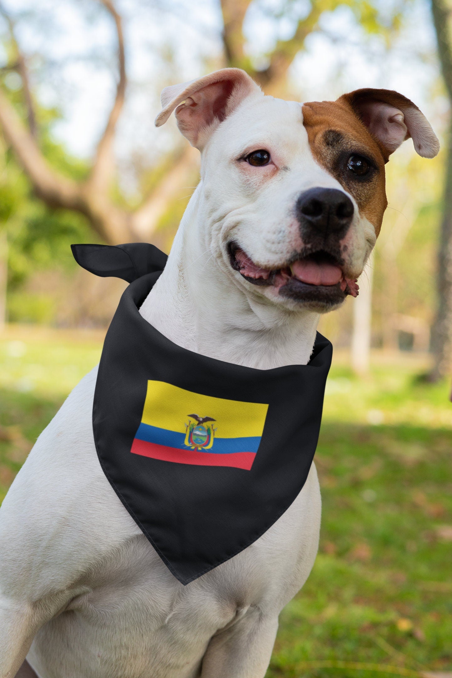 Ecuador Flag Iron On Heat Transfer Vinyl HTV / Republic of Ecuador / Dios, patria y libertad / Quito / Ecuadorian