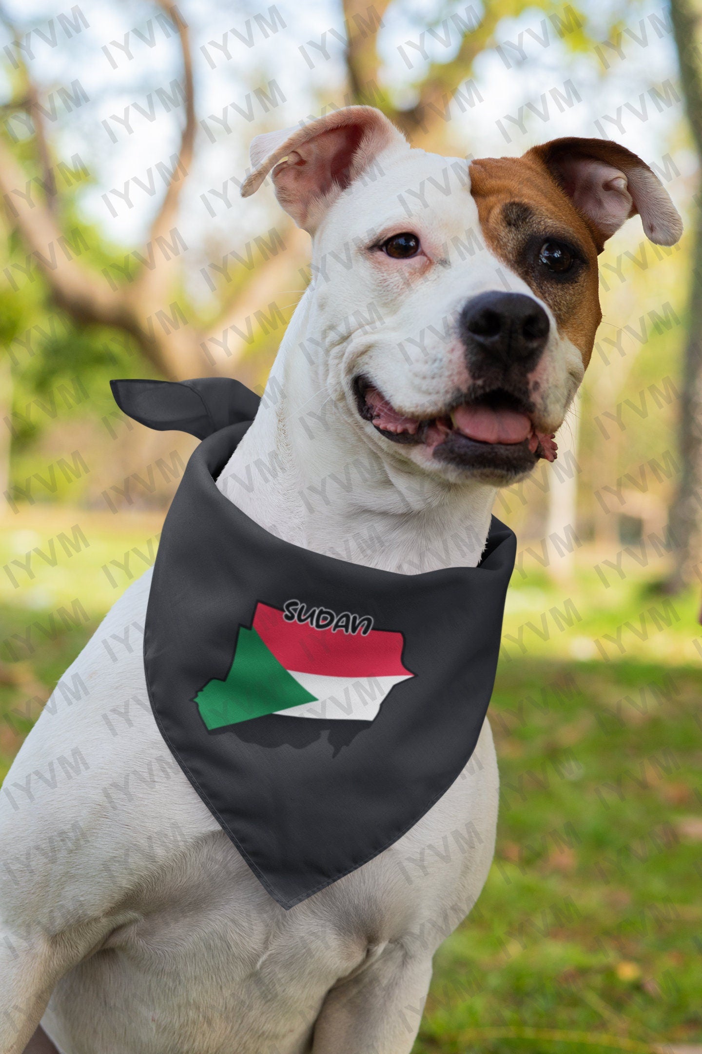 Sudan Map Iron On Heat Transfer Vinyl HTV / Republic of the Sudan / North Sudan / Khartoum / Omdurman / Sudanese