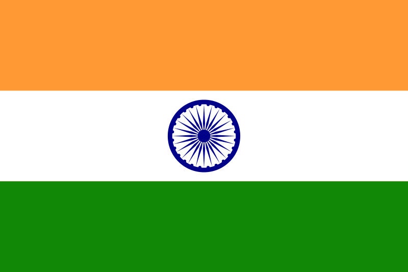 India Flag Iron On Heat Transfer Vinyl HTV / Republic of India / Satyameva Jayate / New Delhi