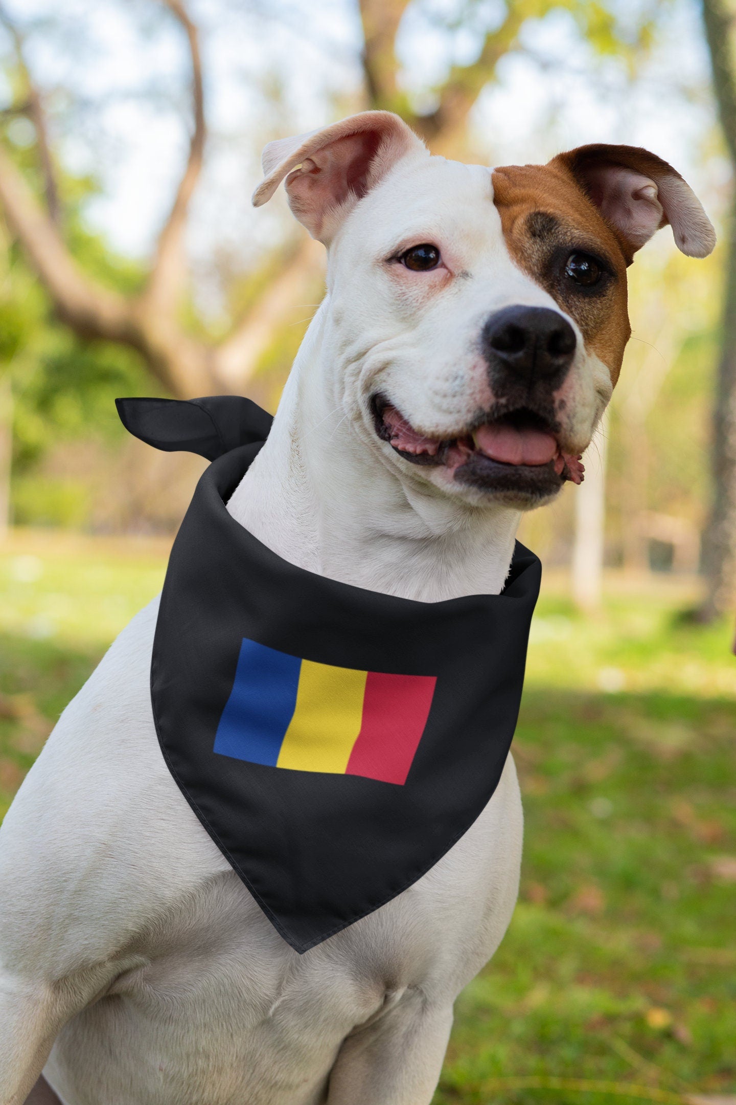 Romania Flag Iron On Heat Transfer Vinyl HTV / România / Bucharest / Romanian