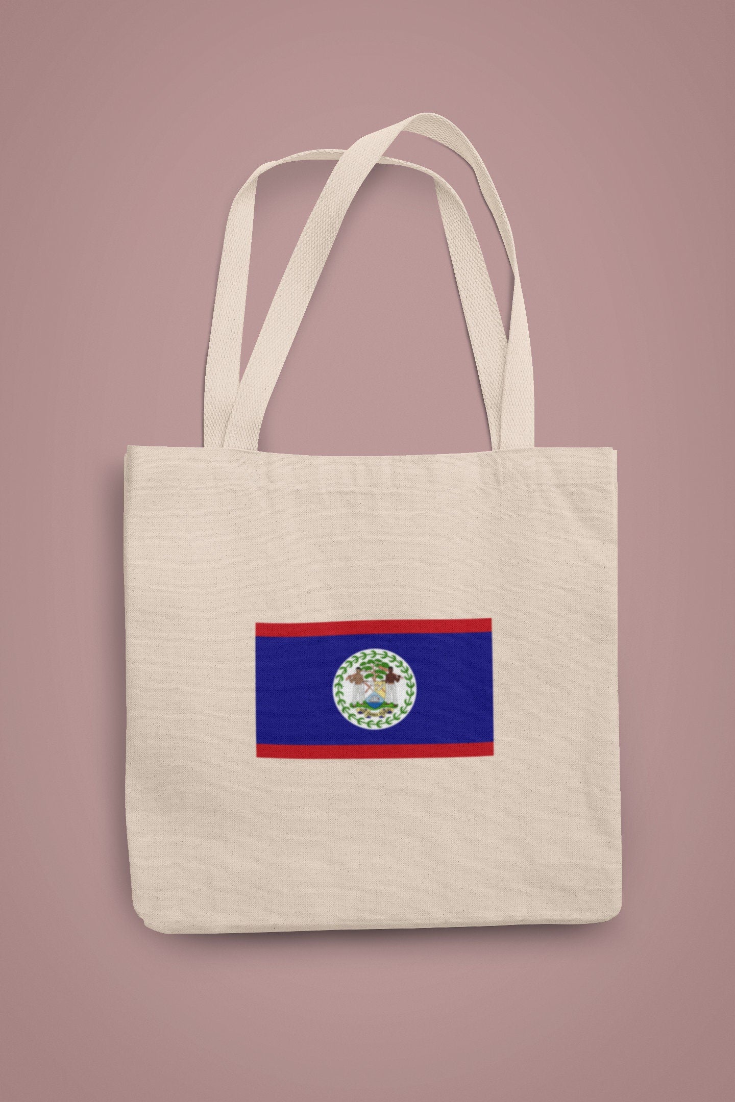 Belize Flag Iron On Heat Transfer Vinyl HTV / Belmopan / Sub umbra floreo / Belizean