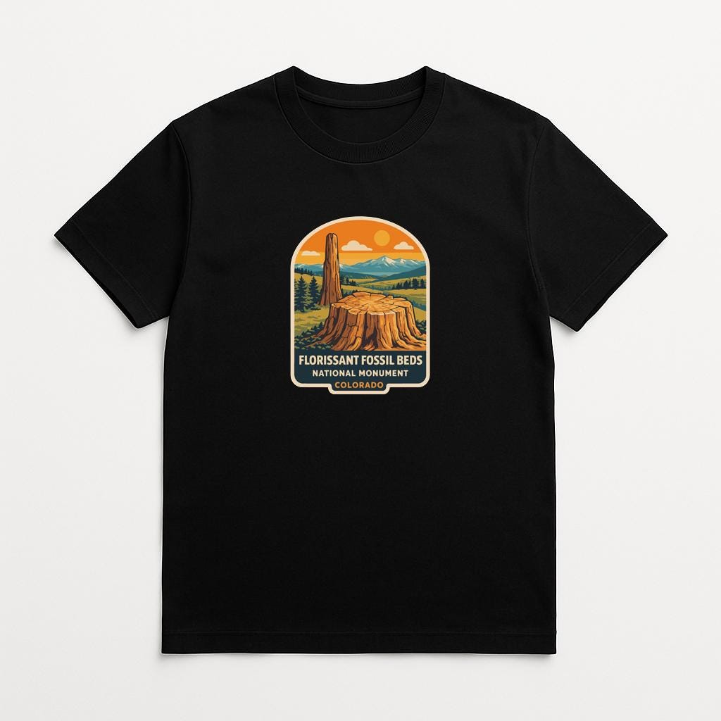 A black t-shirt with a graphic design depicting a fossil bed and a mountain landscape.