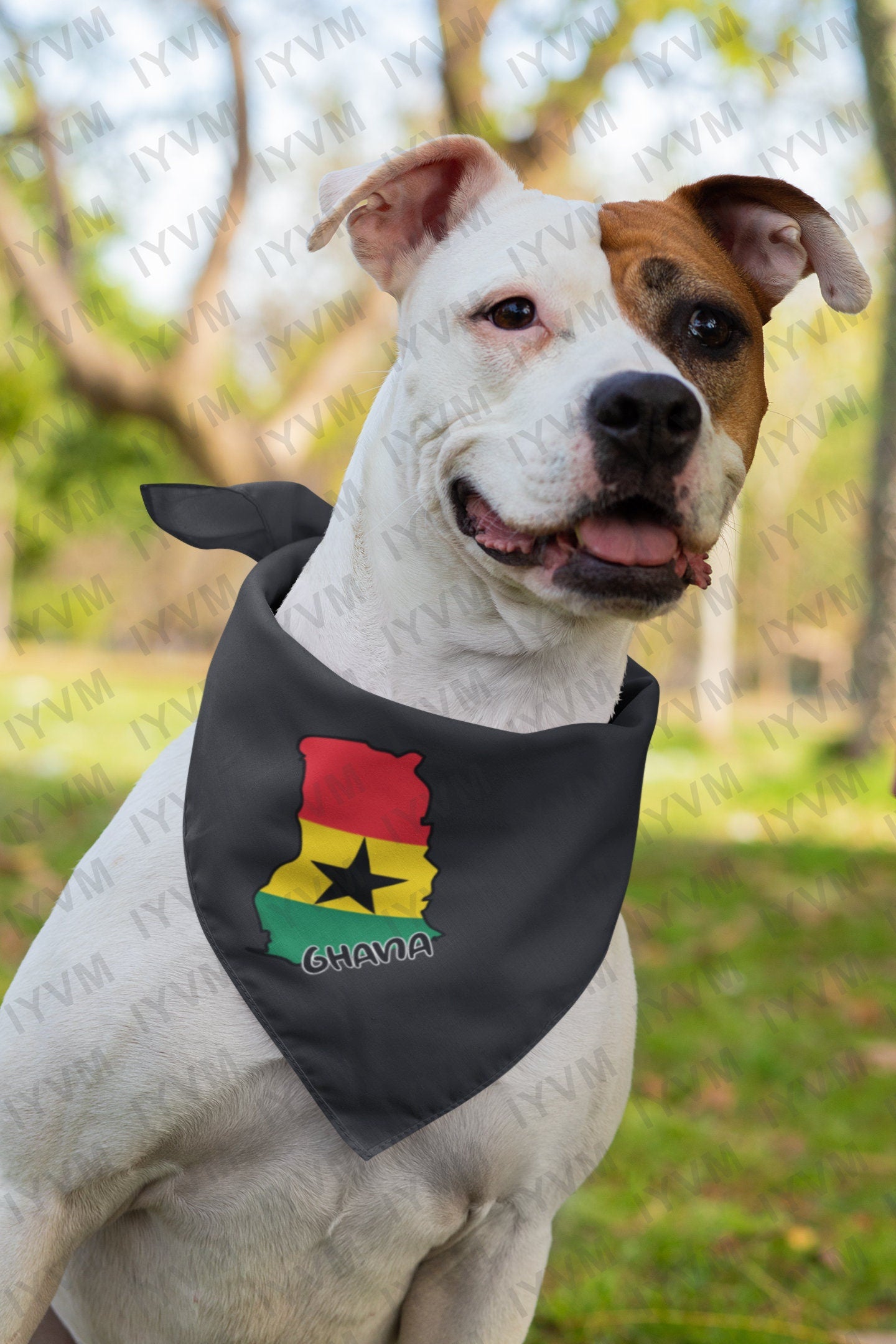 Ghana Map Iron On Heat Transfer Vinyl HTV / Republic of Ghana / Freedom and Justice / Accra / Ghanaian