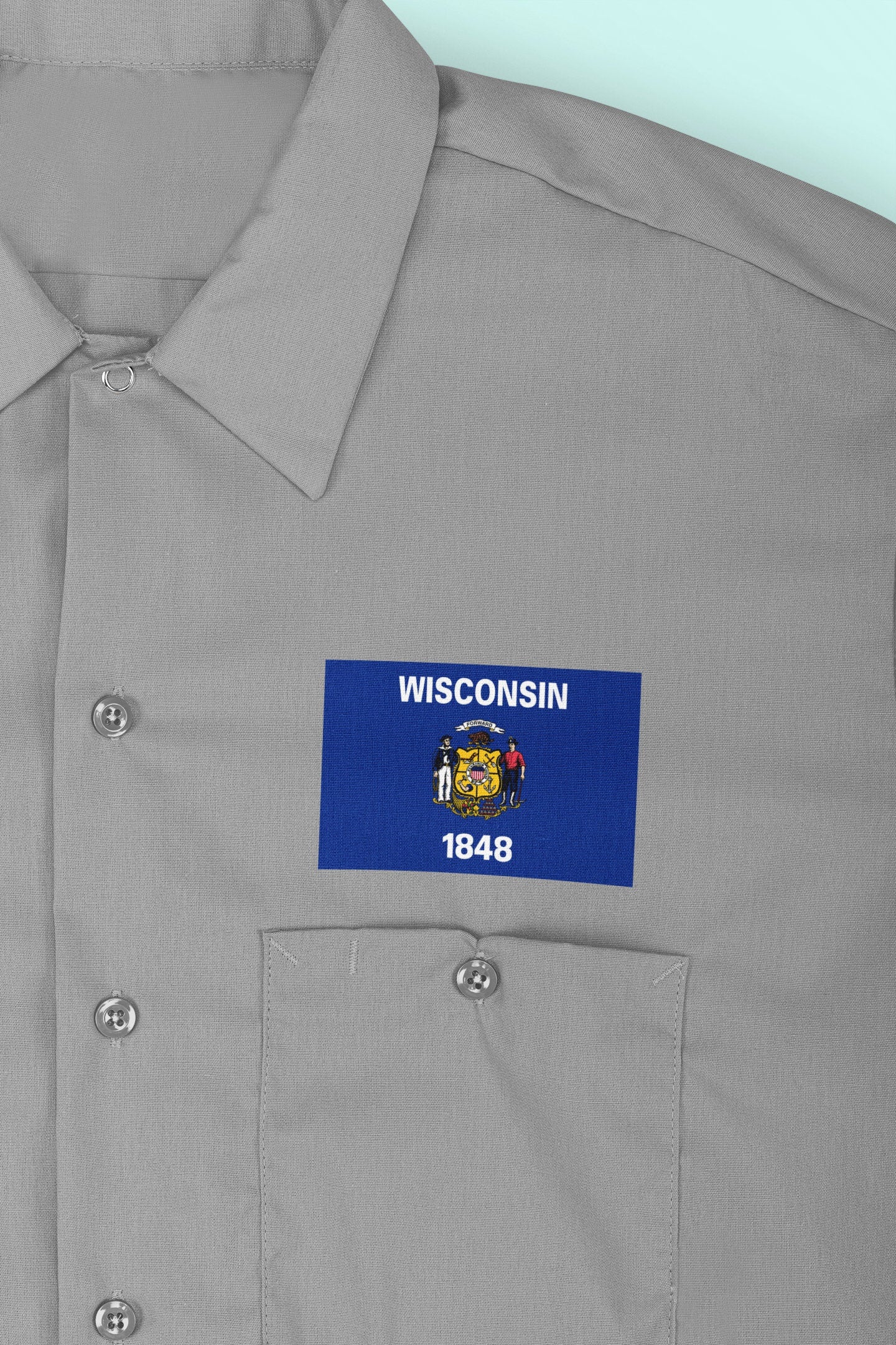 State of Wisconsin Flag Iron On Heat Transfer Vinyl HTV  Wisconsin State  Madison  The Badger State  America's Dairyland  The Mitten State /