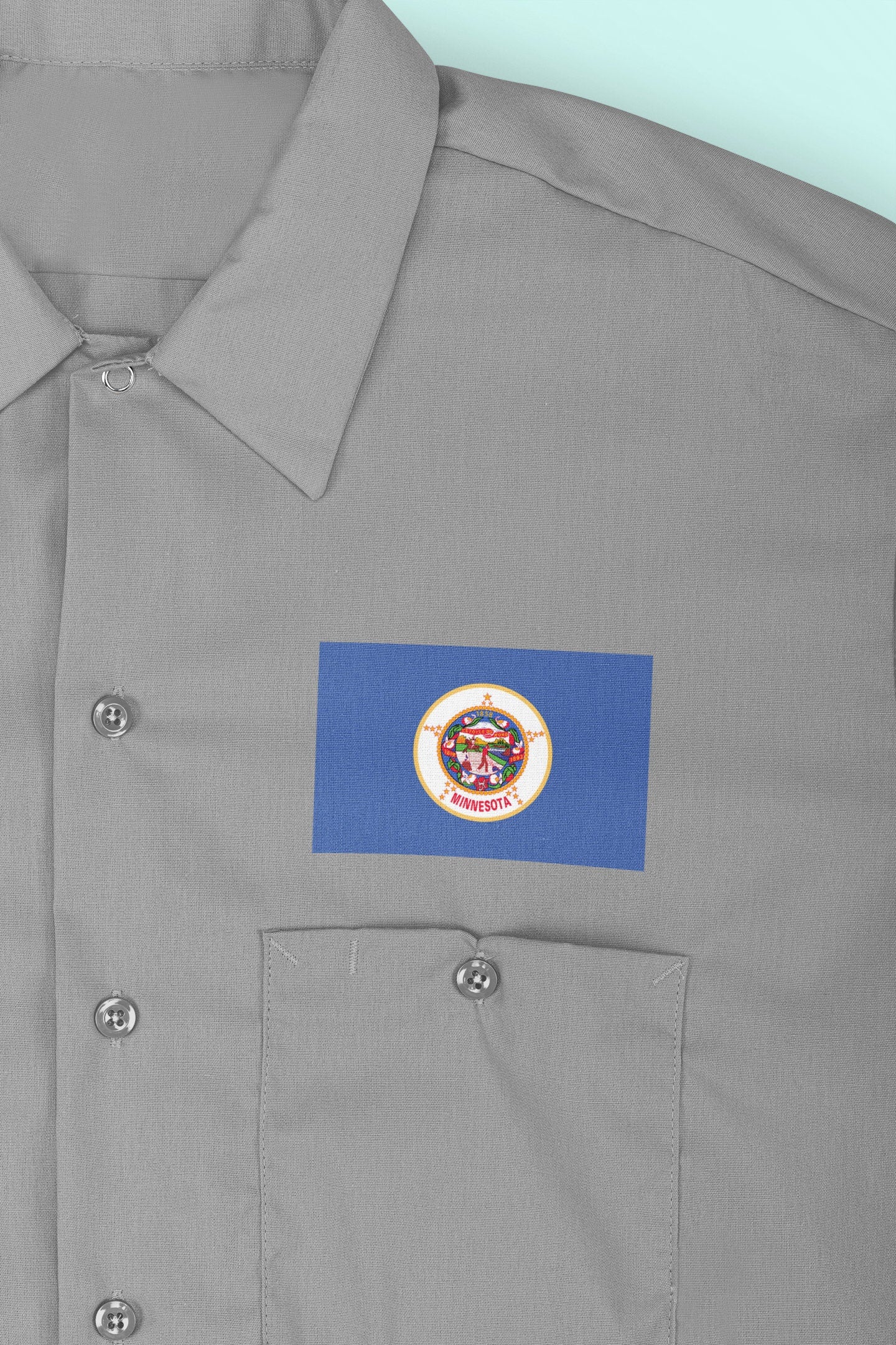 State of Minnesota Flag Iron On Heat Transfer Vinyl HTV Minnesota State  St. Paul  The North Star State  Gopher State  Land of 10,000 Lakes 