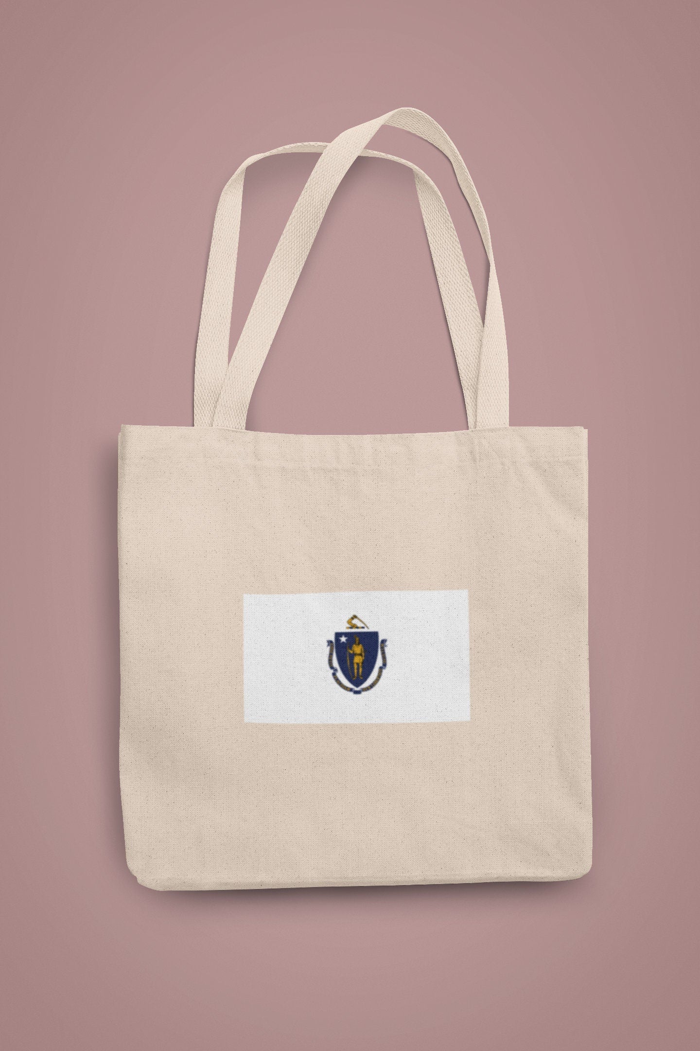 State of Massachusetts Flag Iron On Heat Transfer Vinyl HTV  Massachusetts State  Boston  The Bay State  Baked Bean State  Codfish State /