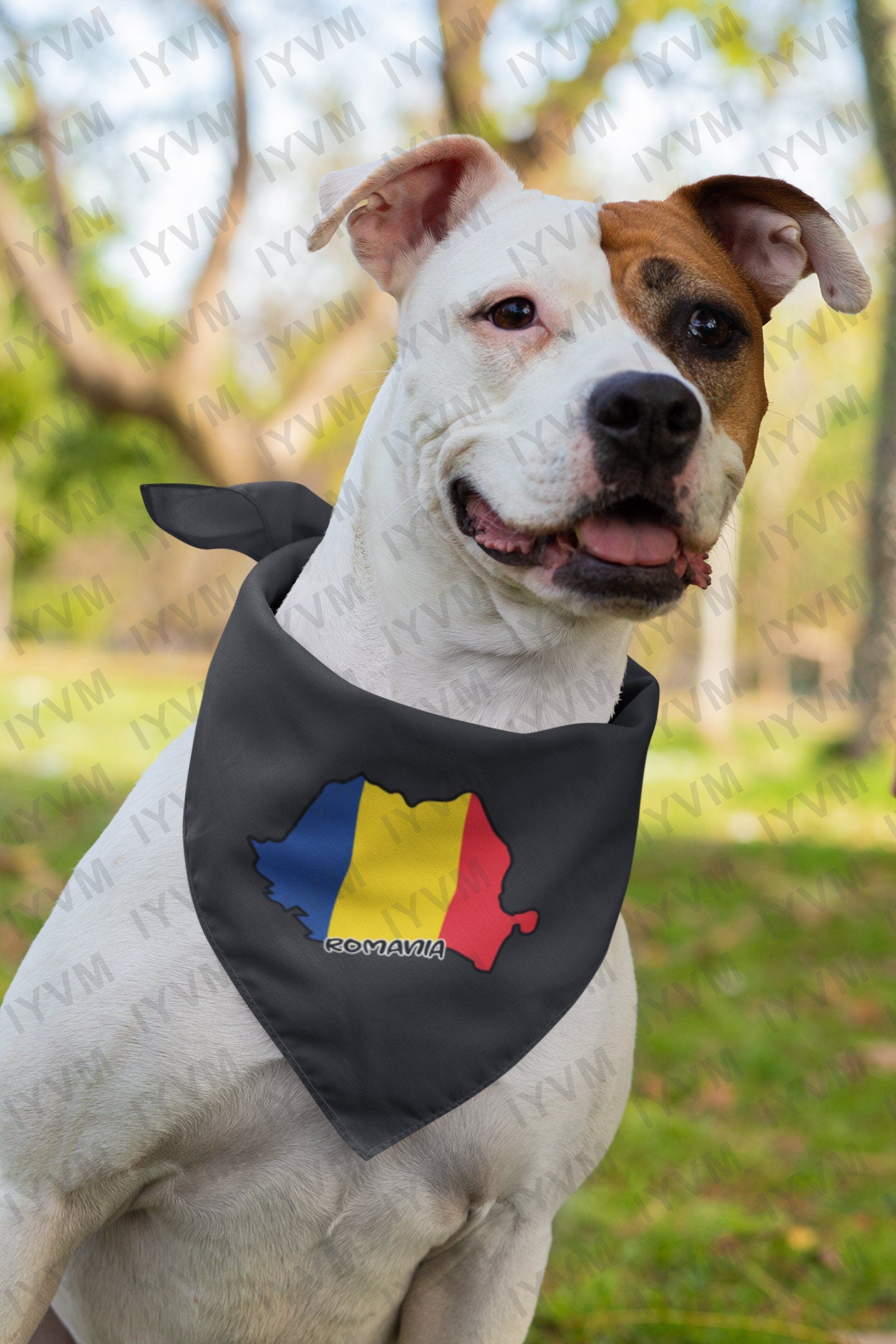 Romania Map Iron On Heat Transfer Vinyl HTV / România / Bucharest / Romanian