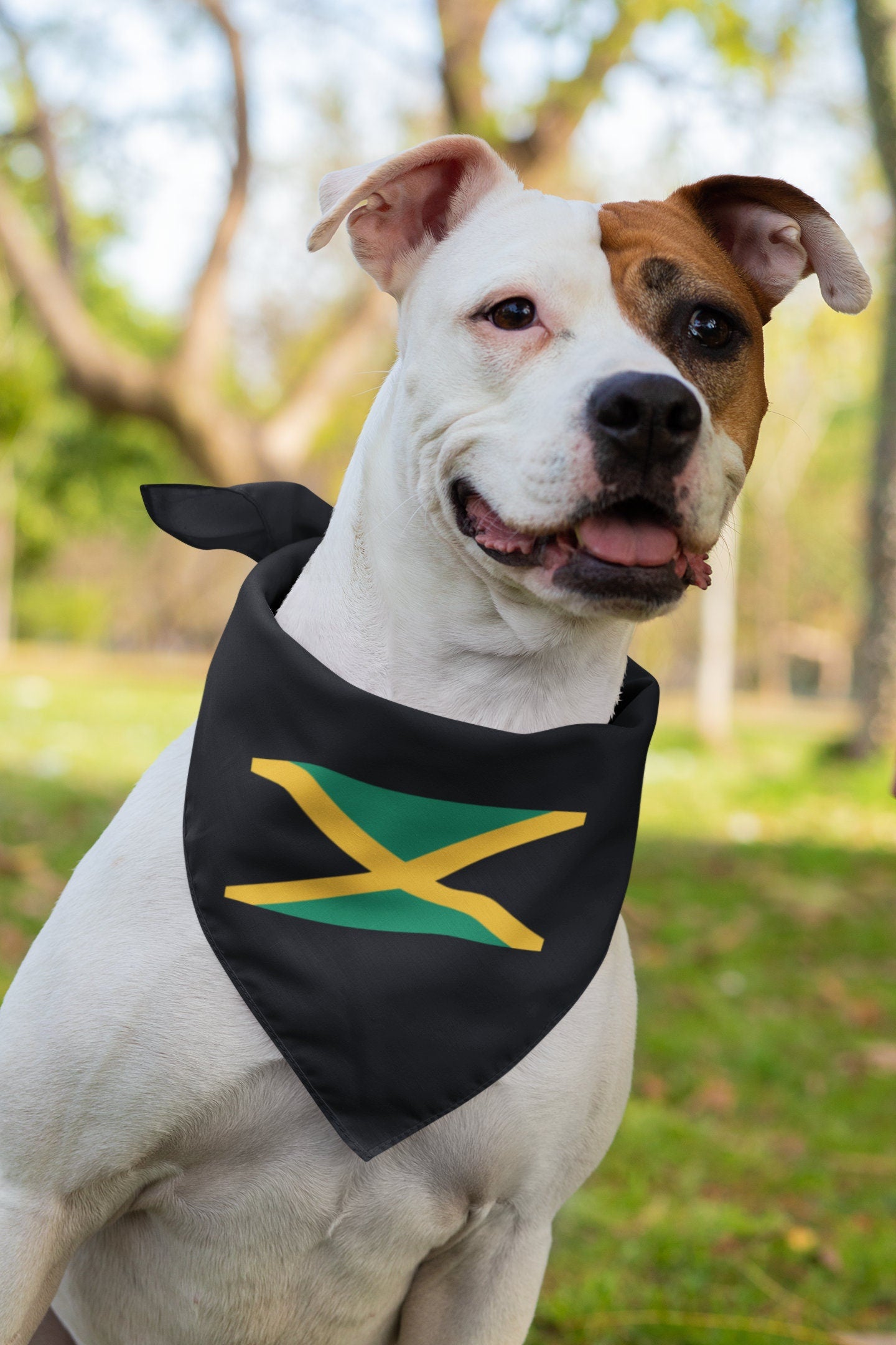 Jamaica Flag Iron On Heat Transfer Vinyl HTV / Jumieka / Kingston / Jamaican / Out of Many, One People