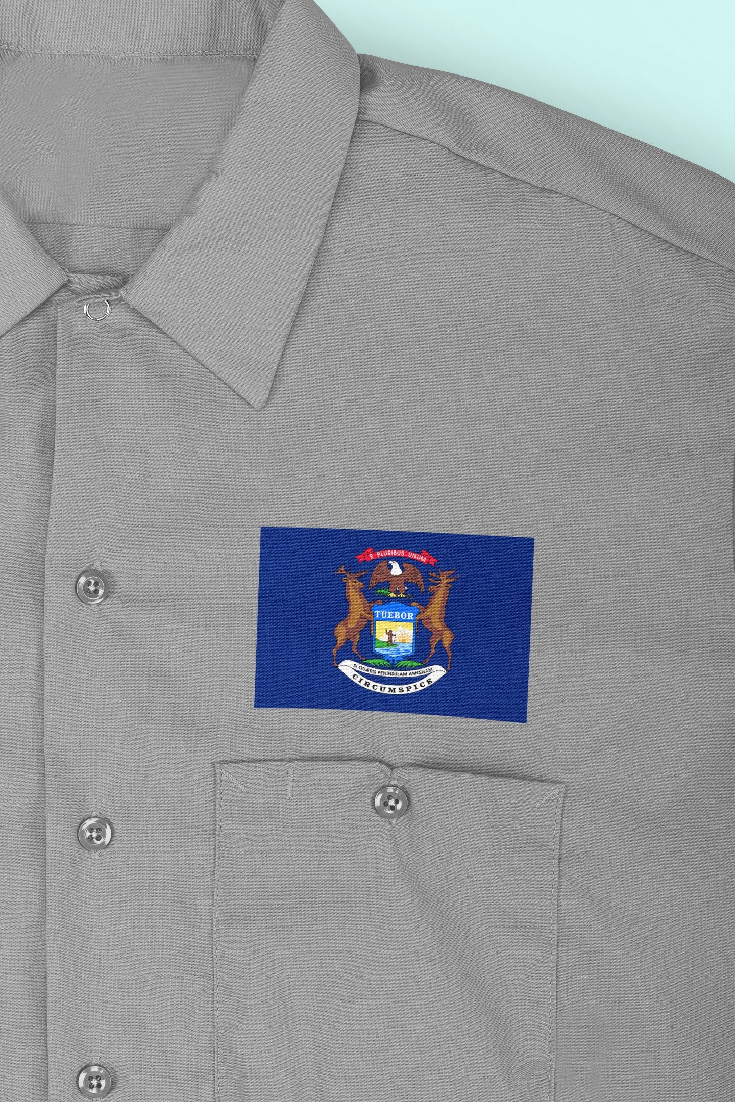 State of Michigan Flag Iron On Heat Transfer Vinyl HTV Michigan State Lansing The Great Lakes State