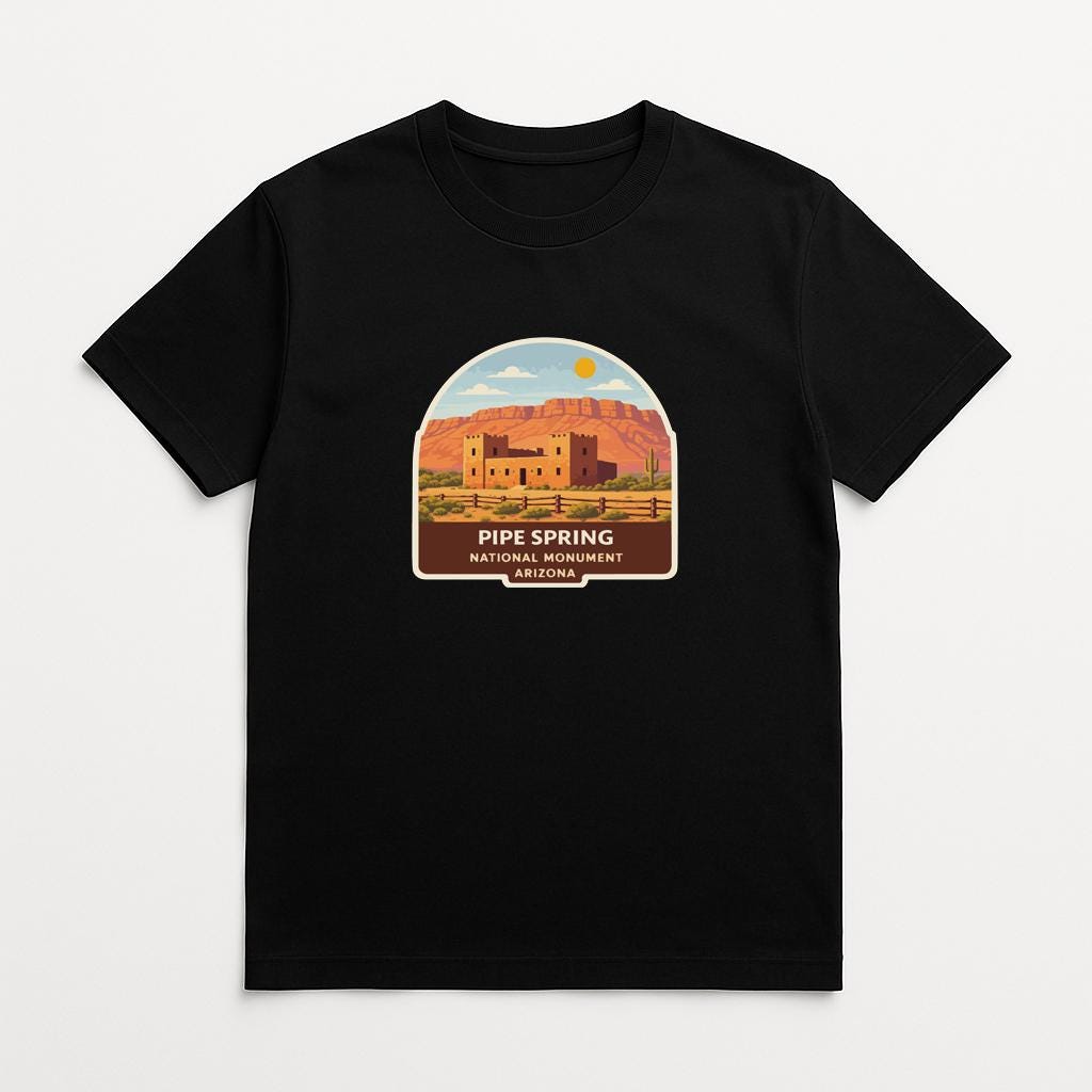 A black t-shirt with a graphic design depicting a desert landscape with a building and mountains in the background.