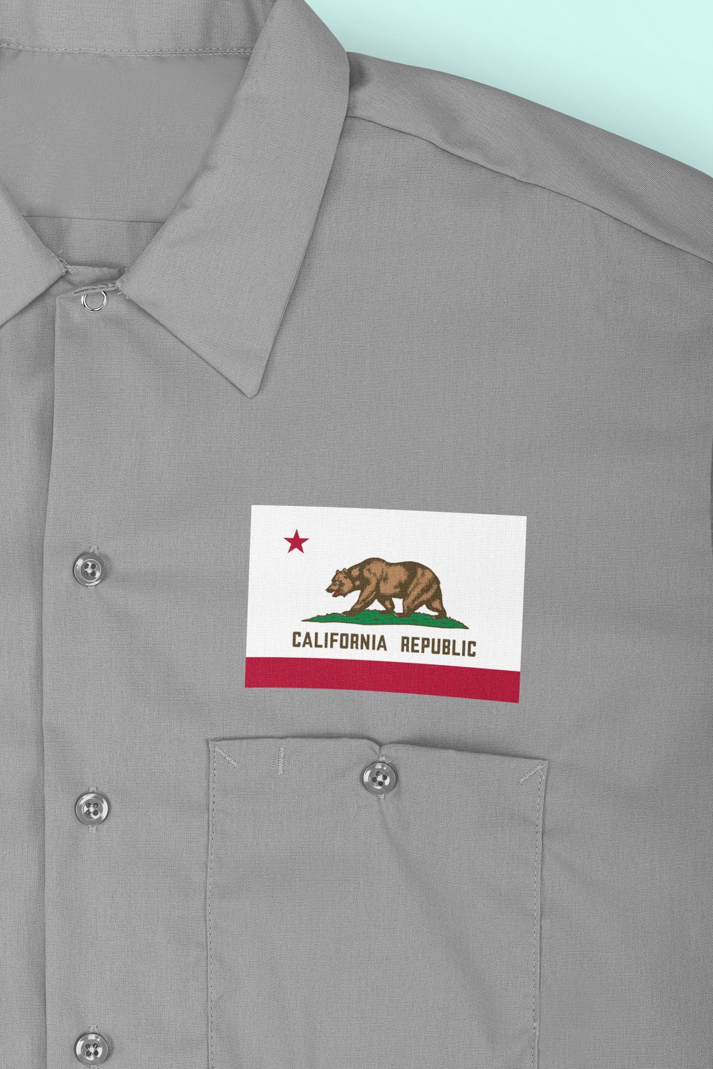 State of California Flag Iron On Heat Transfer Vinyl HTV California State  Sacramento  The Golden State  San Francisco Los Angeles San Diego