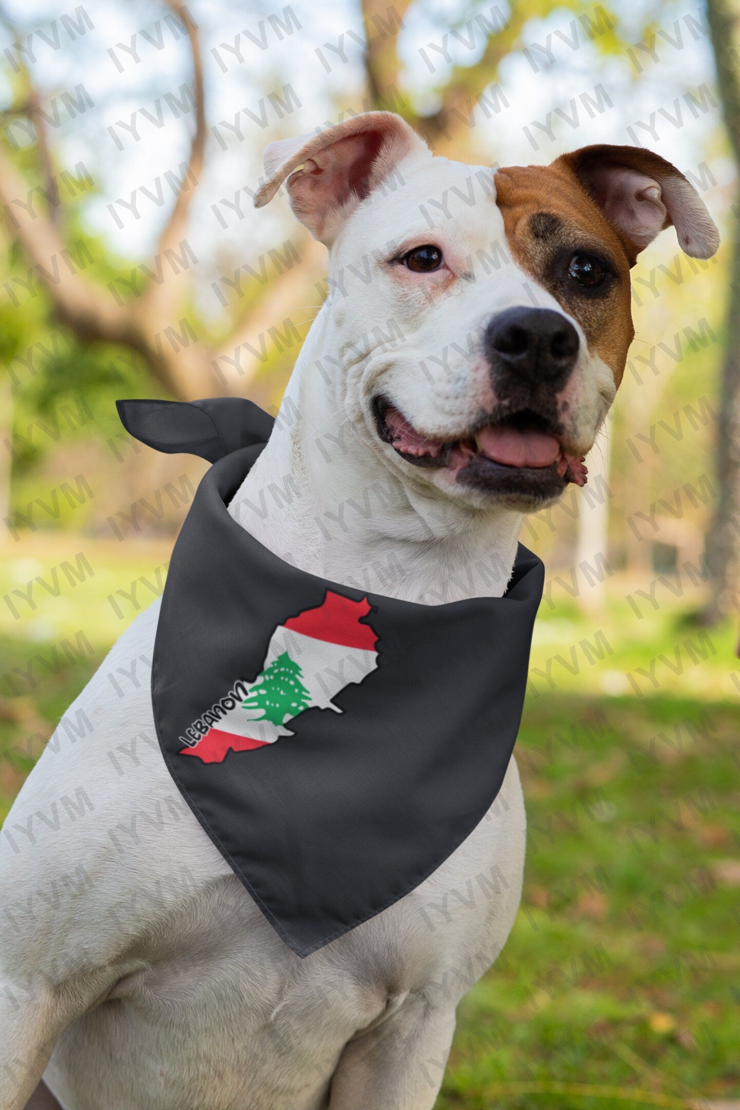 Lebanon Map Iron On Heat Transfer Vinyl HTV / Republic of Lebanon / Lebanese Republic / Beirut / Lebanese