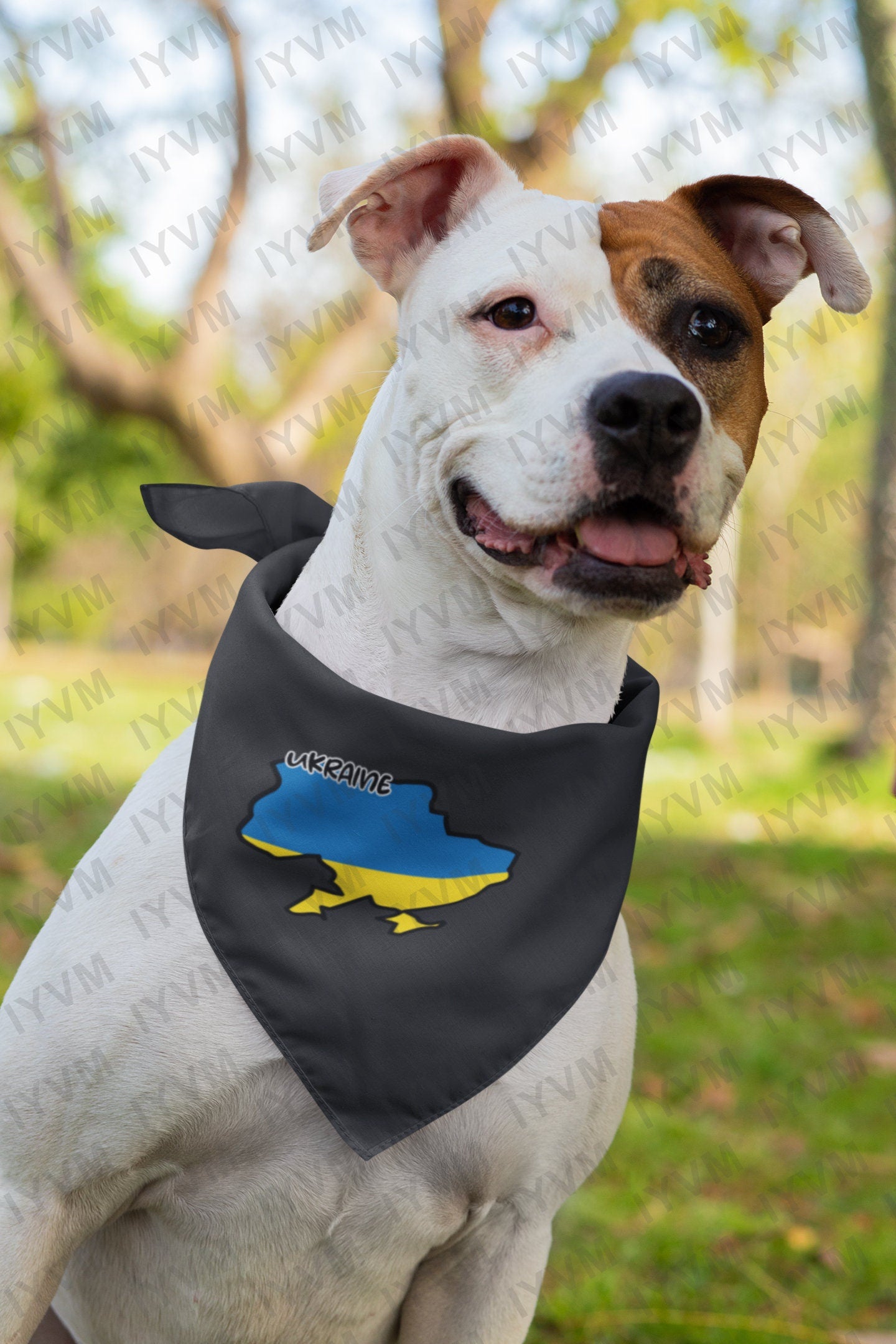 Ukraine Flag Slava Ukraini Iron On Heat Transfer Vinyl HTV Russia Invasion Anti War Say No to War Pray for Ukraine and Ukrainian World Peace