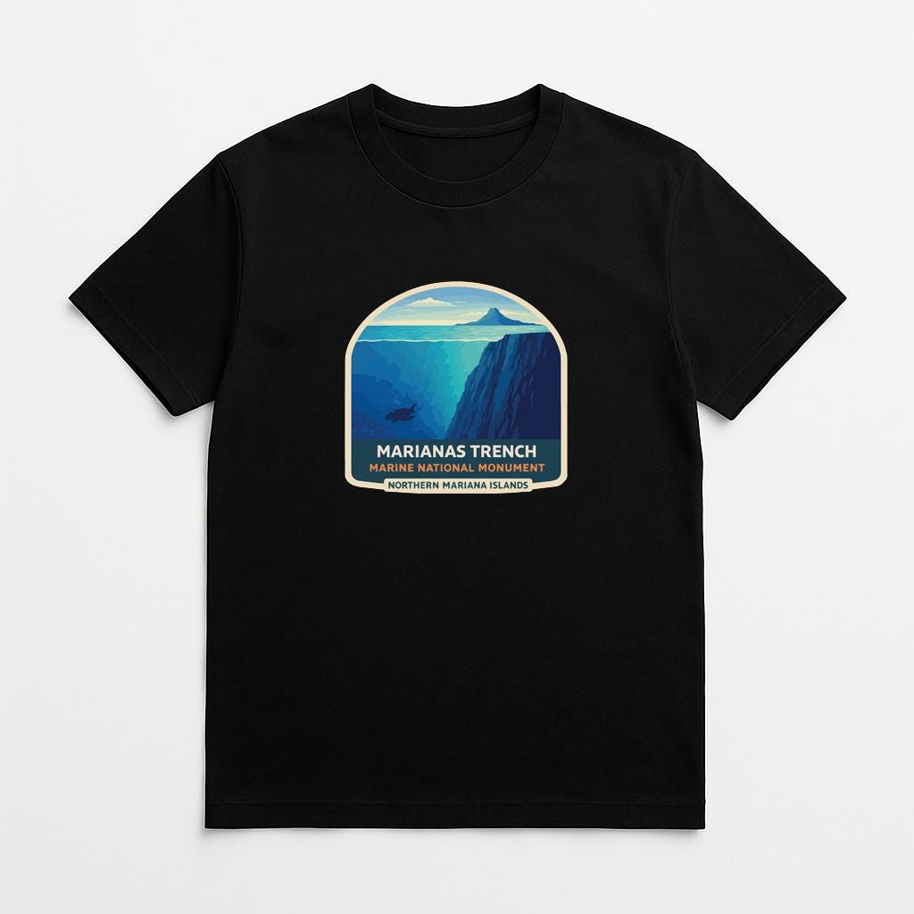 A black t-shirt with a graphic design depicting a mountainous landscape with a blue sky and water.