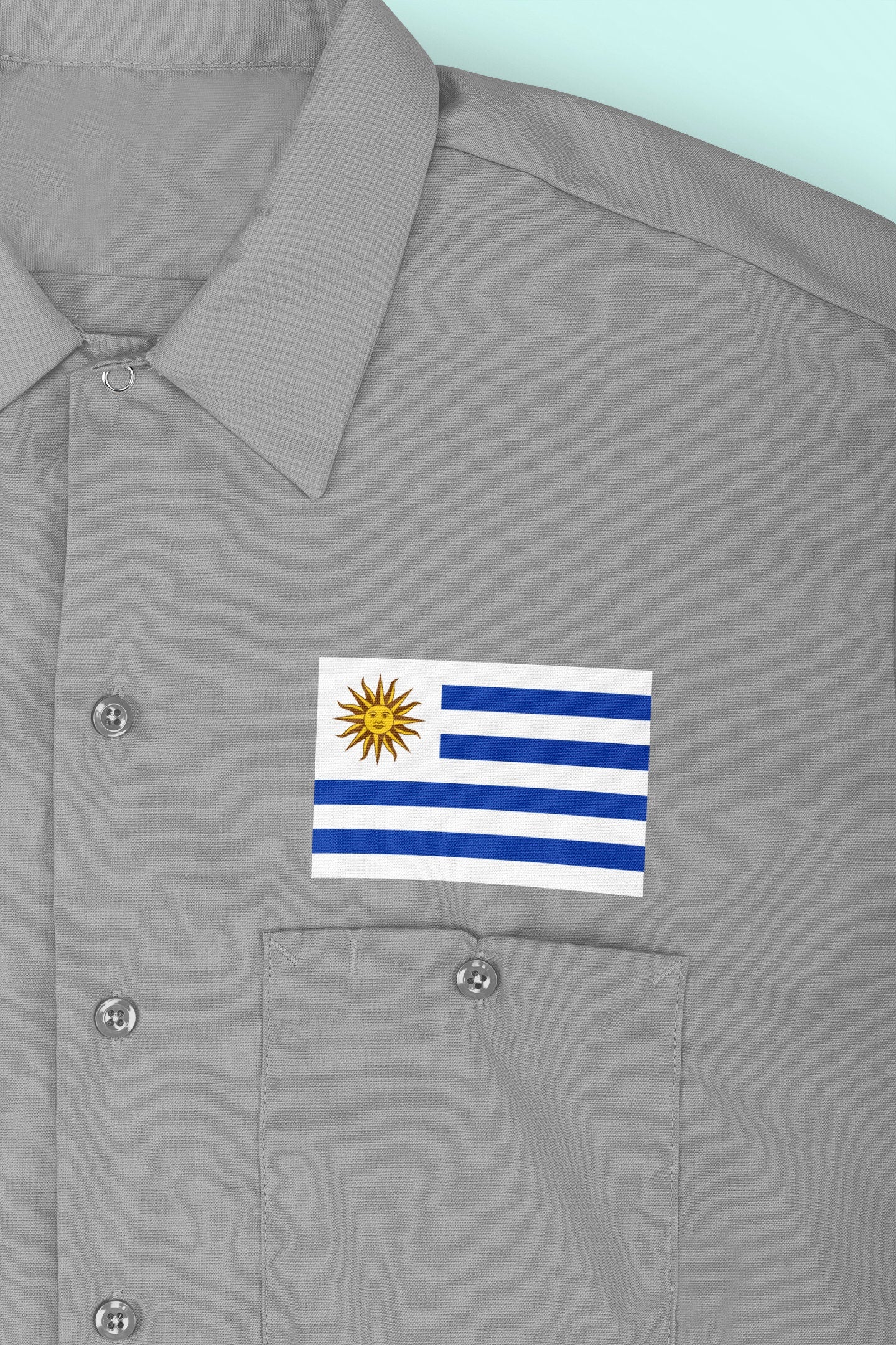 Uruguay Flag Iron On Heat Transfer Vinyl HTV / Oriental Republic of the Uruguay / Libertad o Muerte / Montevideo / Uruguayan / Portuguese