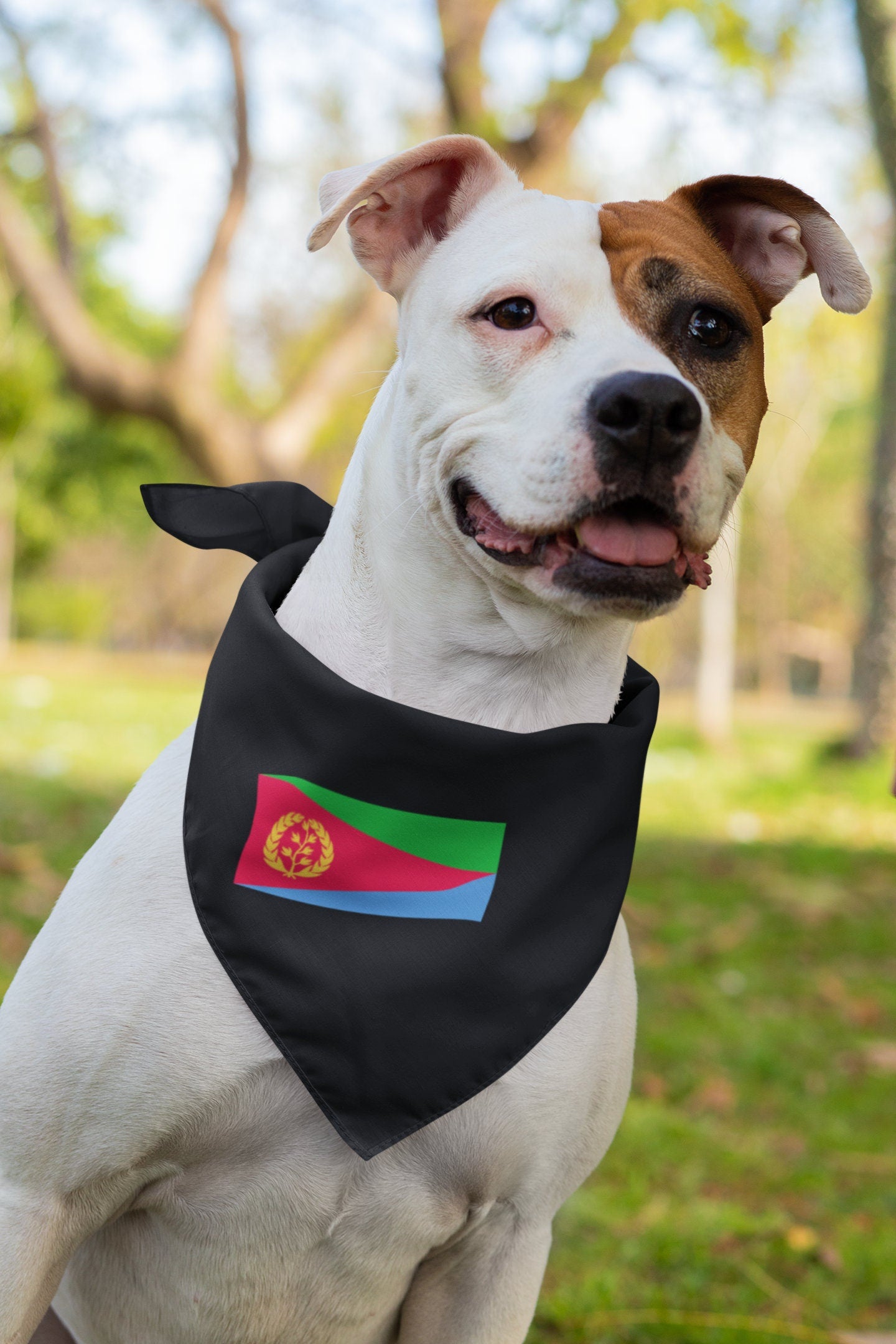 Eritrea Flag Iron On Heat Transfer Vinyl HTV / State of Eritrea / Asmara / Tigrinya / Eritrean
