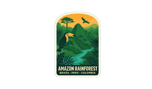 Amazon Rainforest Brazil Iron On Heat Transfer Vinyl HTV Symbolic Peru Colombia