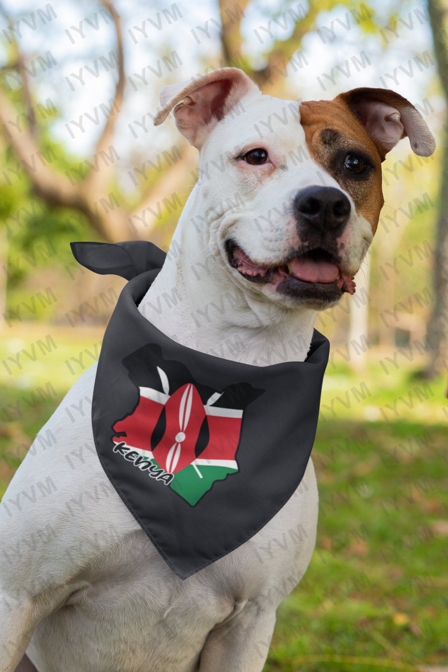 Kenya Map Iron On Heat Transfer Vinyl HTV / Republic of Kenya / Harambee / Nairobi / Kenyan