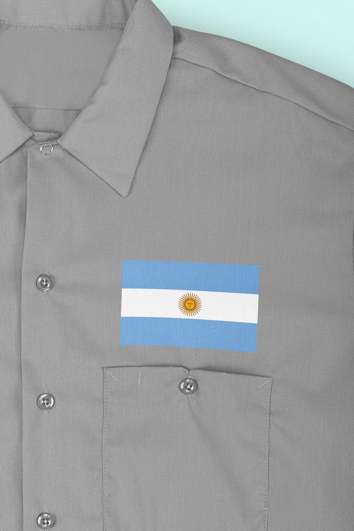 Argentina Flag Iron On Heat Transfer Vinyl HTV / Buenos Aires / En unión y libertad / Argentine Argentinian