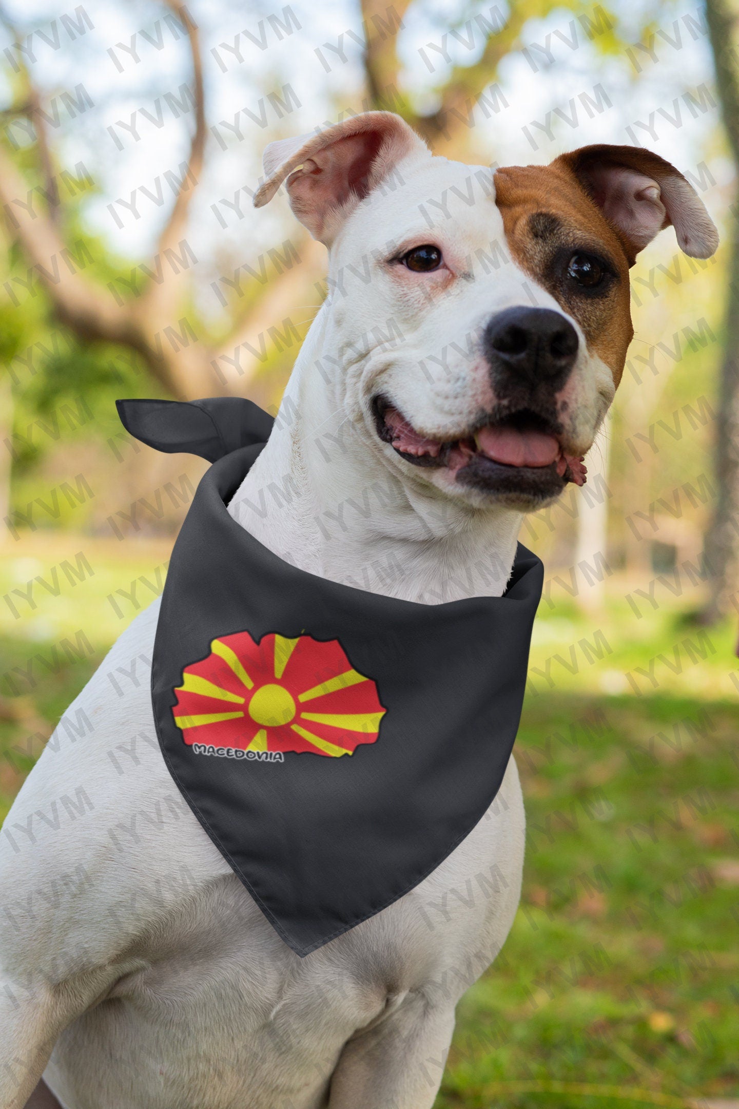 Macedonia Map Iron On Heat Transfer Vinyl HTV / Republic of North Macedonia / Република Северна Македонија / Skopje / Macedonian