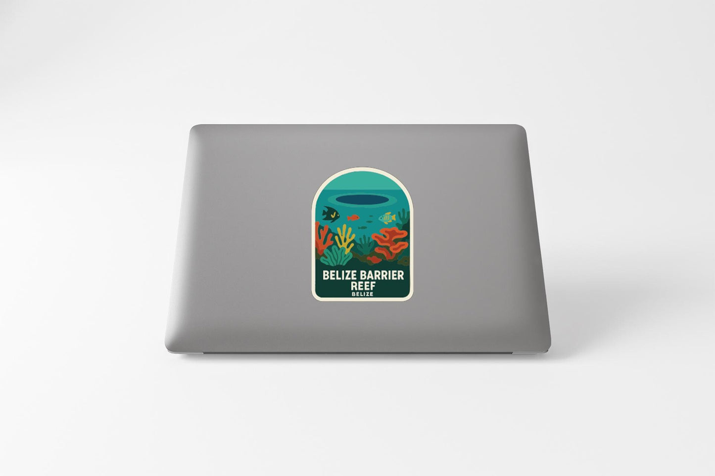 a sticker with a colorful illustration of underwater plants and fish, along with the text "Belize Barrier Reef".