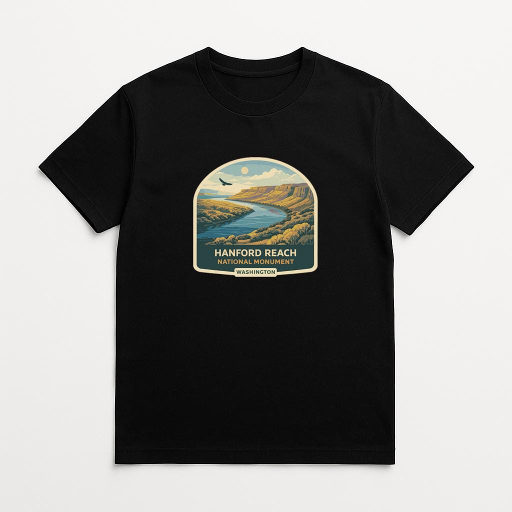 A black t-shirt with a graphic design depicting a scenic landscape with a river, mountains, and a bird in flight.