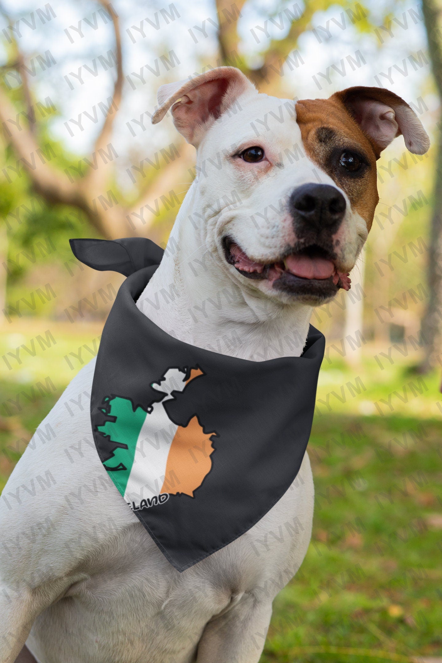 Ireland Map Iron On Heat Transfer Vinyl HTV / Éire / Airlann / Northern Ireland / Irish / Belfast