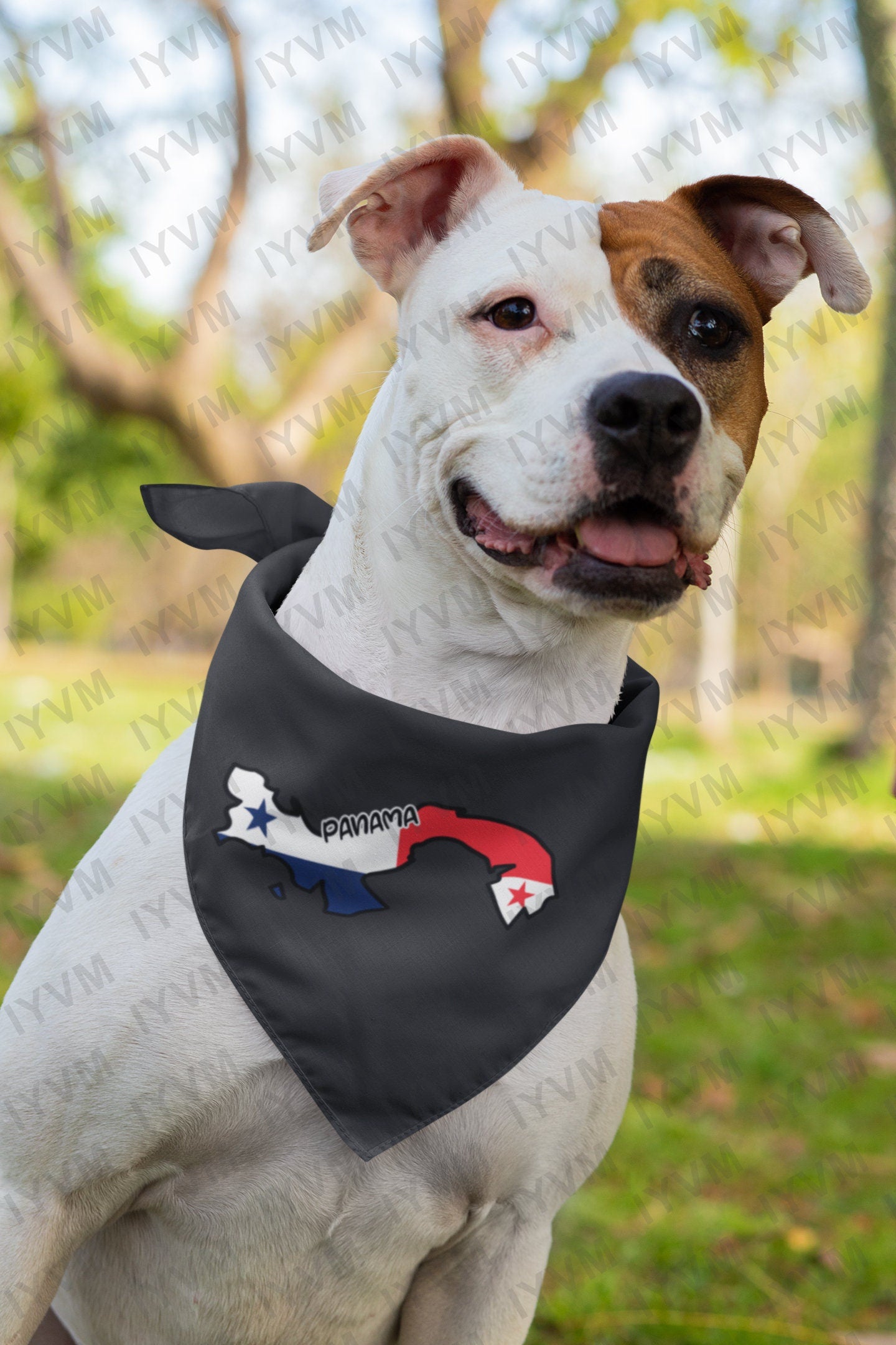 Panama Map Iron On Heat Transfer Vinyl HTV / Republic of Panama / Pro Mundi Beneficio / Panama City / Panamanian
