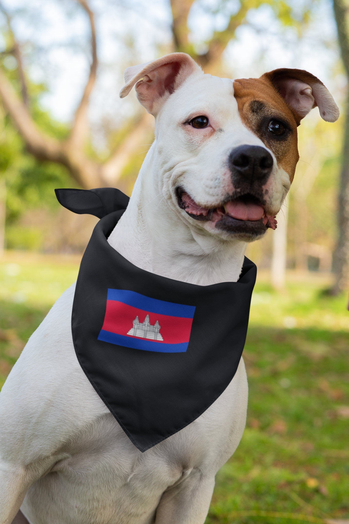 Cambodia Flag Iron On Heat Transfer Vinyl HTV / Phnom Penh / Kampuchea / Kingdom of Cambodia