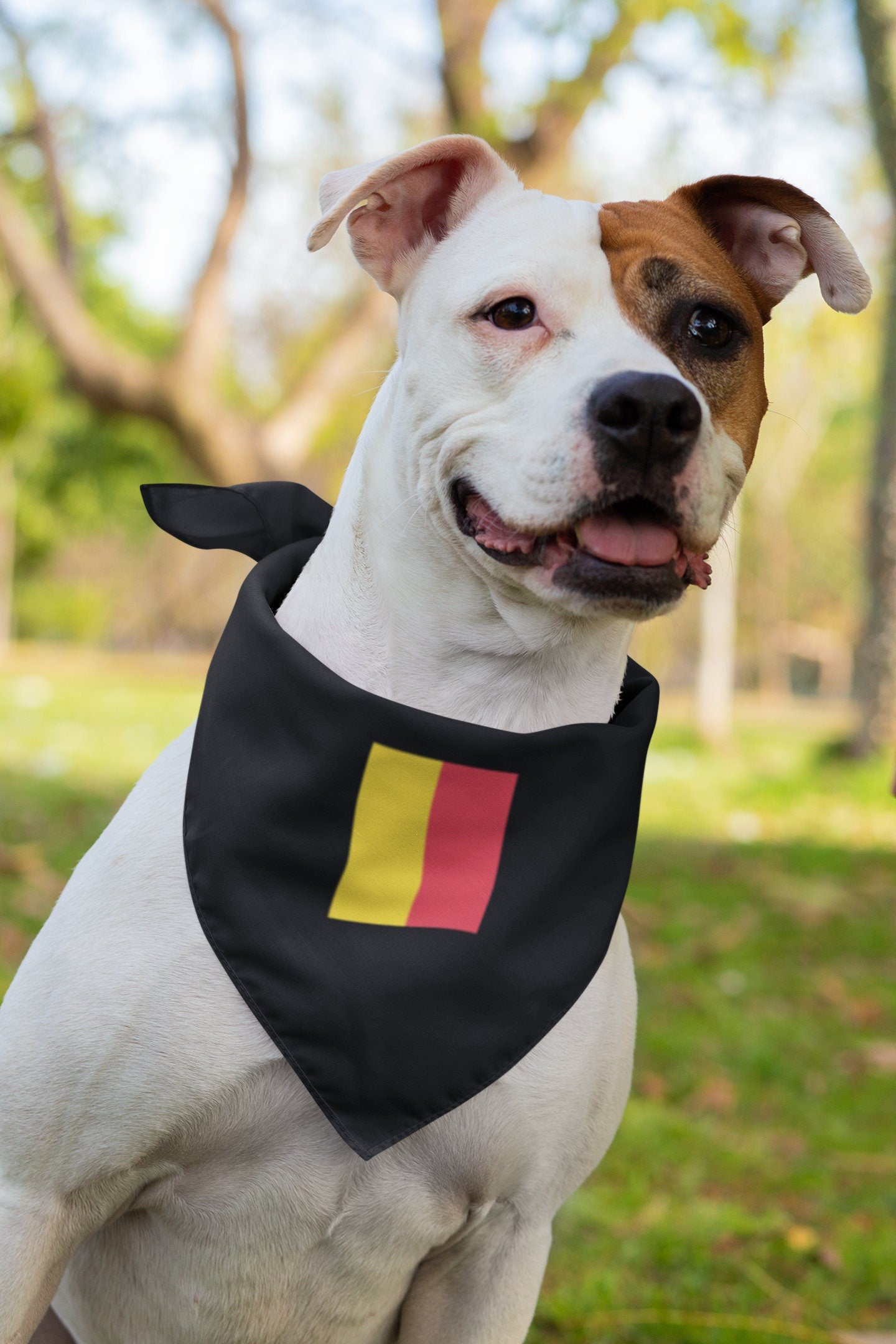 Belgium Flag Iron On Heat Transfer Vinyl HTV / Brussels / Eendracht maakt macht / L'union fait la force / Einigkeit macht stark / Belgian