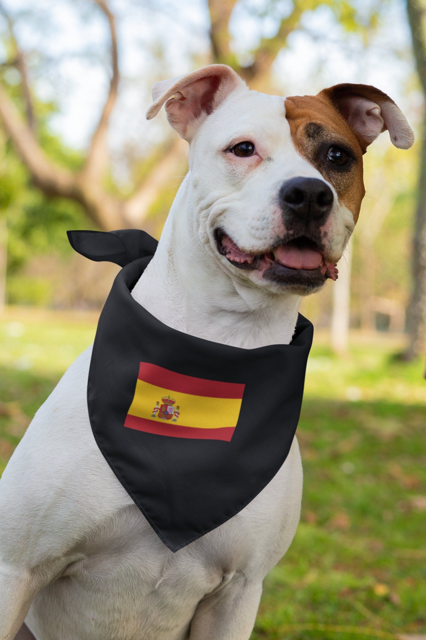 Spain Flag Iron On Heat Transfer Vinyl HTV / Kingdom of Spain / Reino de España / Plus ultra / Spanish