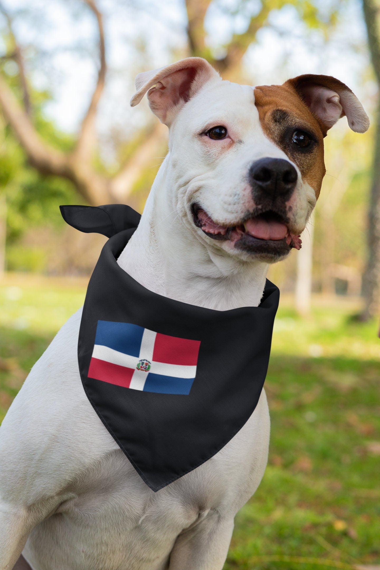Dominican Republic Flag Iron On Heat Transfer Vinyl HTV / República Dominicana / Dios, Patria, Libertad / Santo Domingo