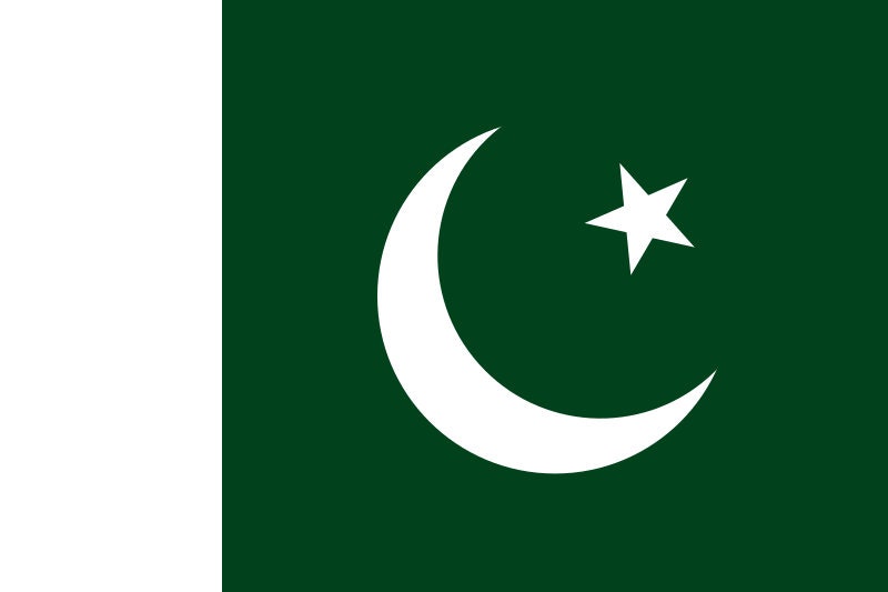Pakistan Flag Iron On Heat Transfer Vinyl HTV / Islamic Republic of Pakistan / Islamabad / Pakistani